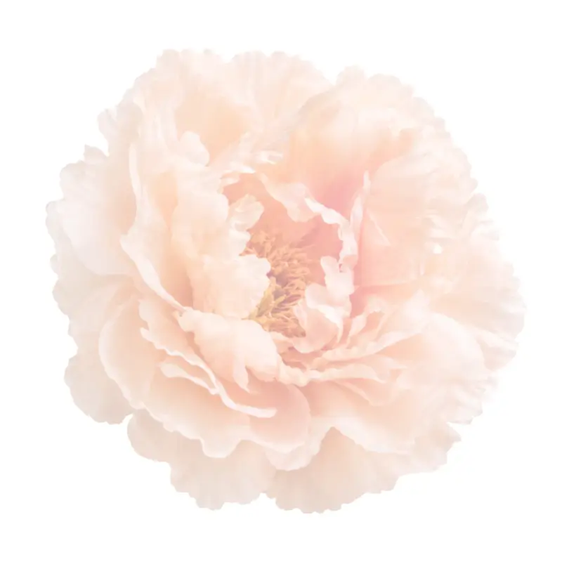 Watercolor flower illustration for Depression