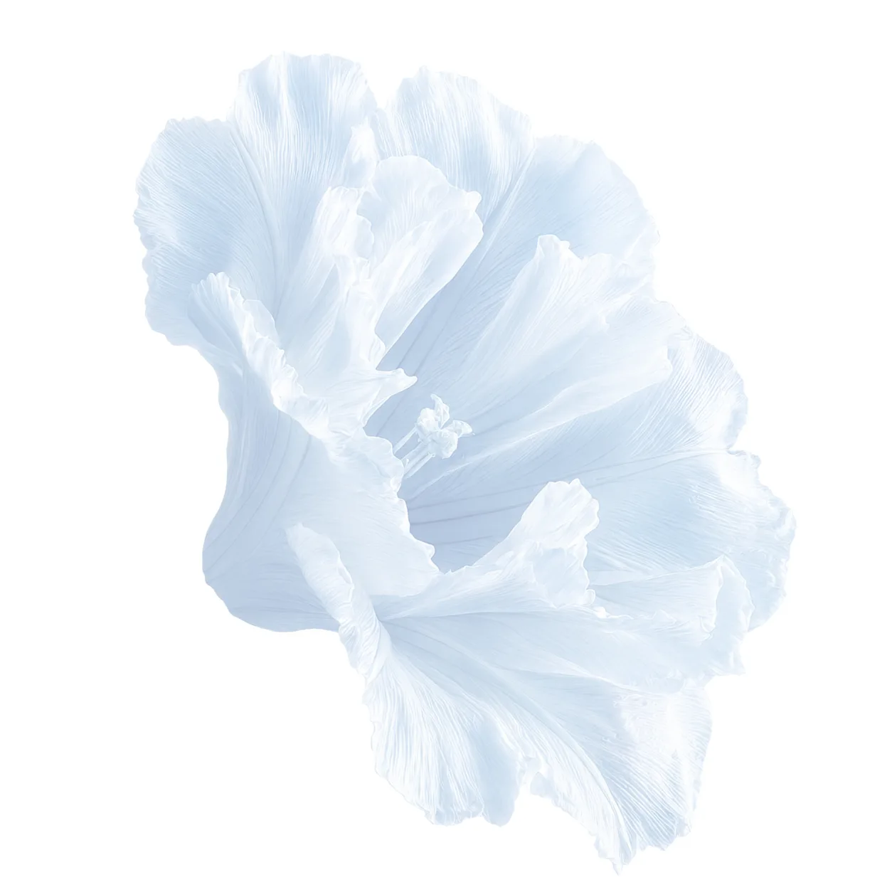 Watercolor flower illustration for ADHD printables