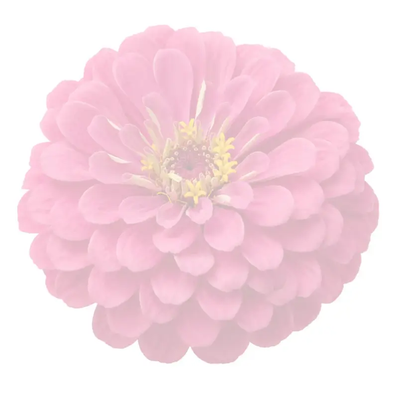Watercolor flower illustration for Journaling