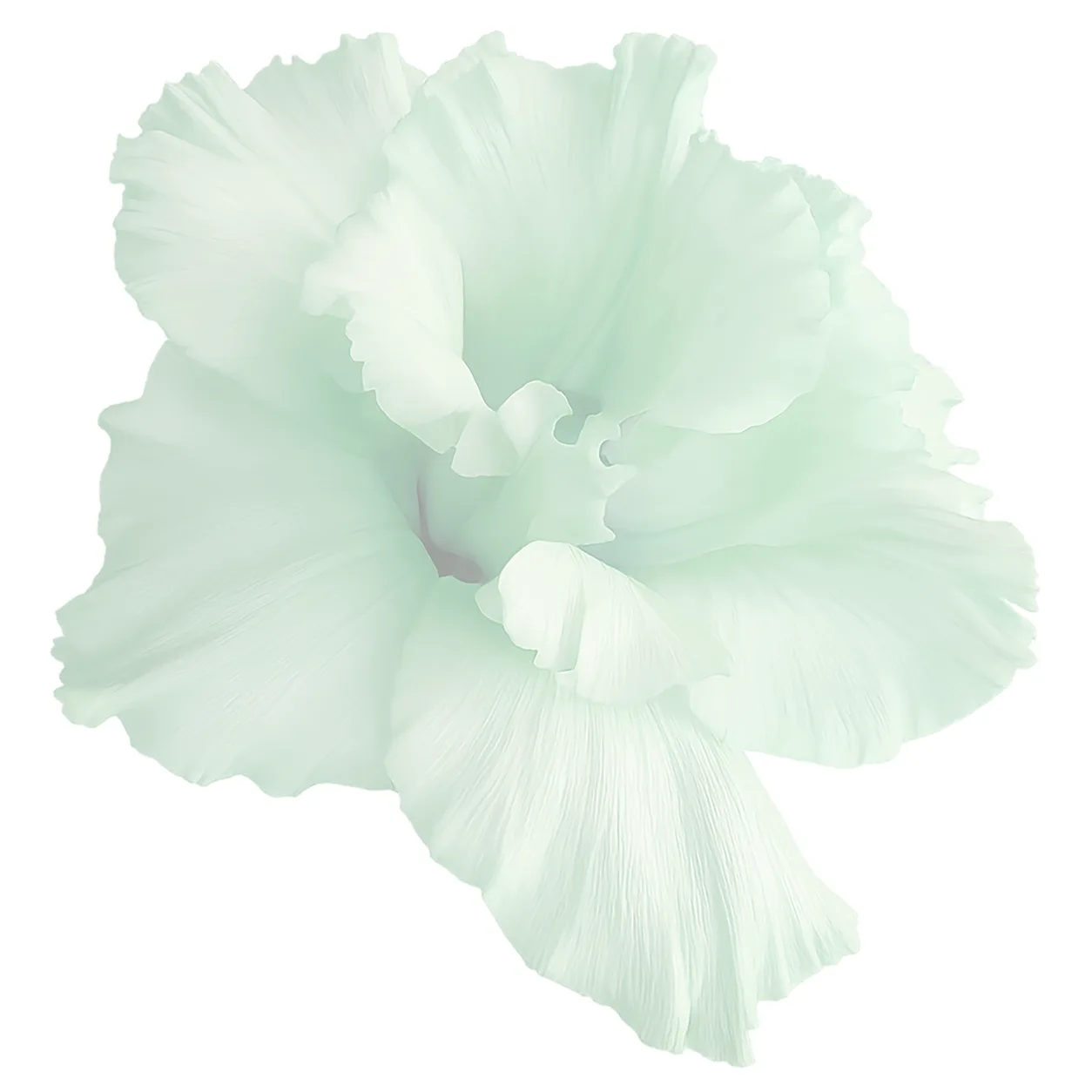 Watercolor flower illustration for Patience printables