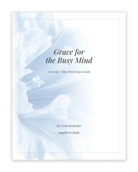 Cover of First Steps