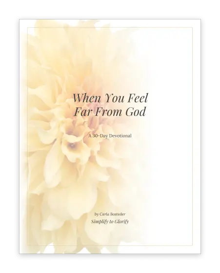 Cover of The Faith Devotional