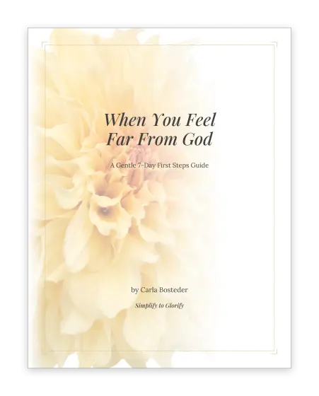 Cover of First Steps