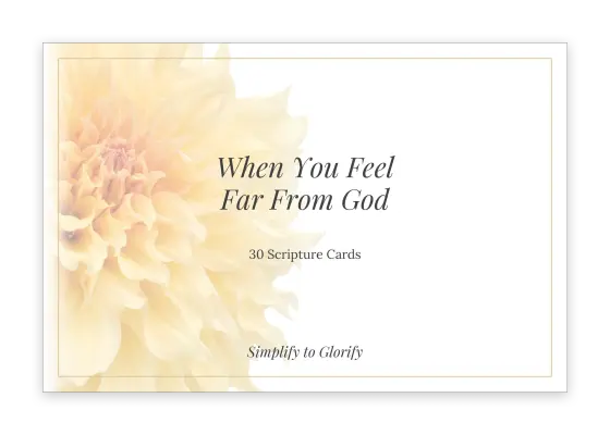 Cover of Scripture Cards