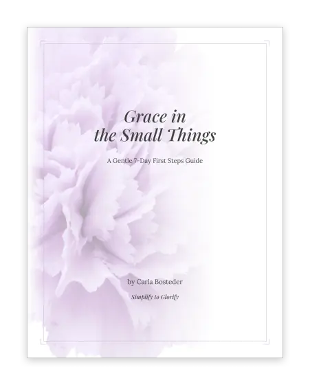 Cover of First Steps