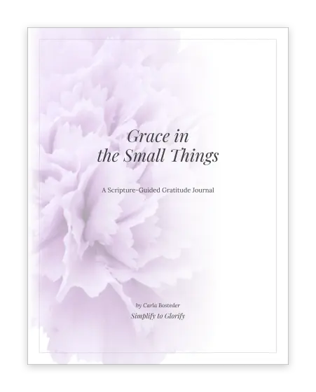 Cover of The Gratitude Journal