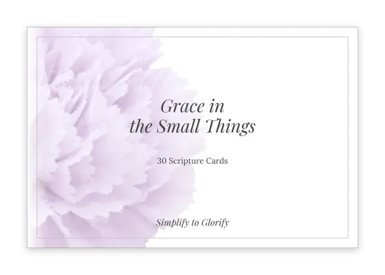 Cover of Scripture Cards