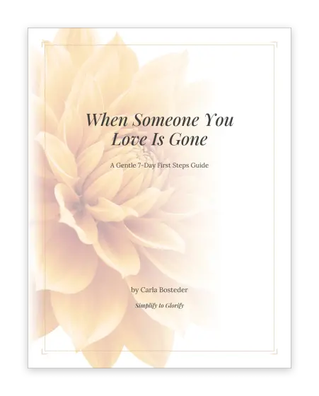 Cover of First Steps