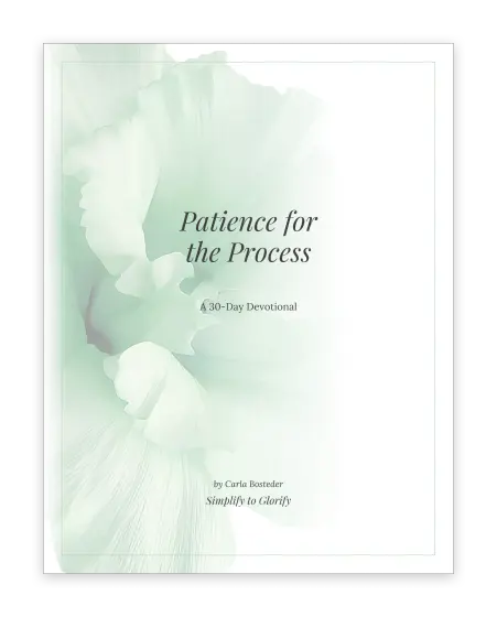 Cover of The Patience Devotional