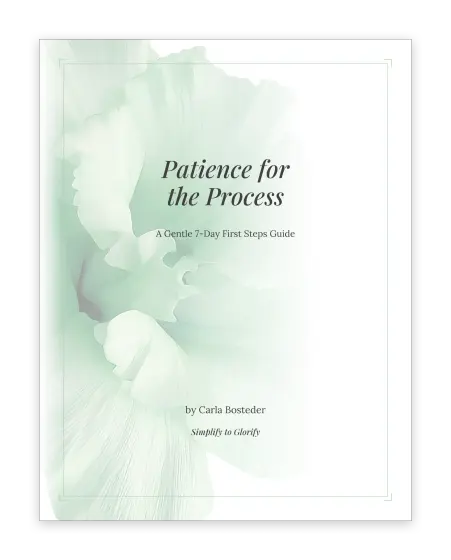 Cover of First Steps