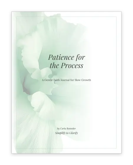 Cover of The Patience Journal