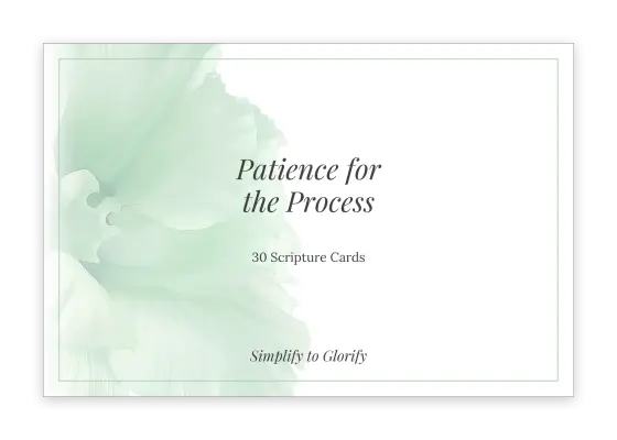 Cover of Scripture Cards