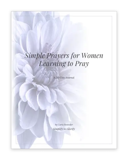 Cover of The Prayer Journal
