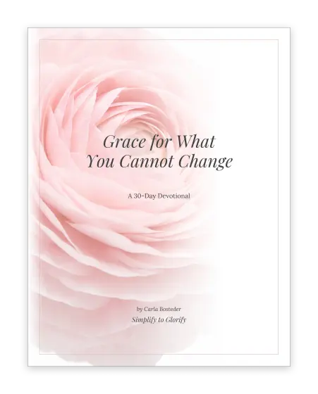 Cover of The Regret Devotional