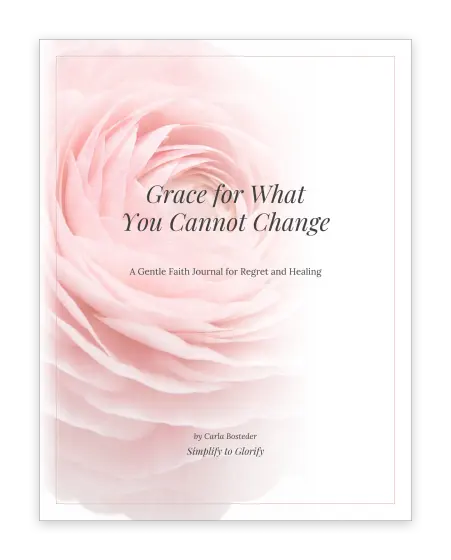 Cover of The Regret Journal