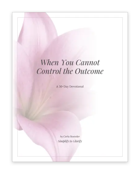 Cover of The Trusting God Devotional