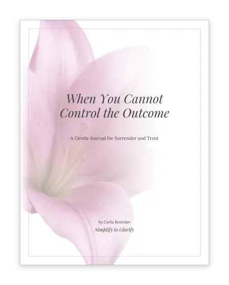 Cover of The Trusting God Journal