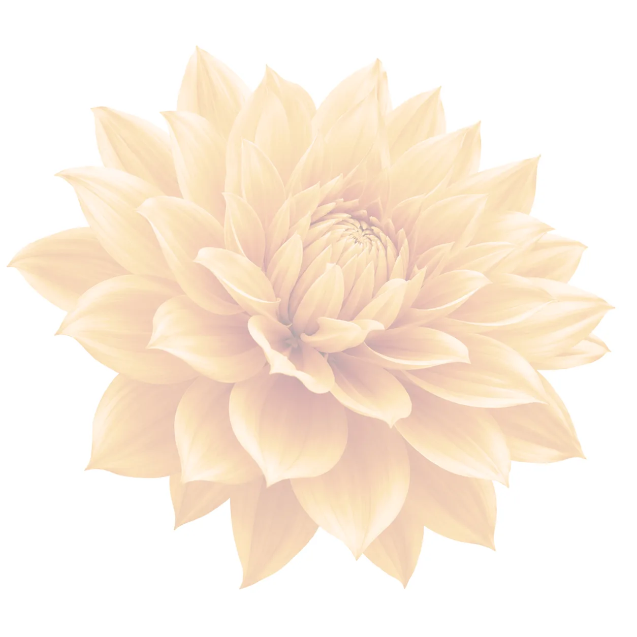 Watercolor flower illustration for Grief